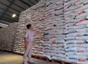 Pemerintah Percepat Pembangunan 100 Gudang Bulog Serap Gabah dan Jagung Petani.