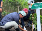 Perkuat Kinerja Perkebunan kopi, PTPN I Regional V Tanam Perdana Kopi Arabika di Bondowoso