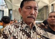 Luhut Buka Suara: Bandara IMIP Morowali Khusus Domestik, Izin Resmi!