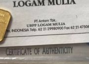 Dari Rp1 Juta ke Rp20 Juta, Bukti Nyata Emas Tak Pernah Bohong