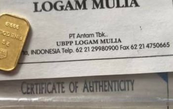 Dari Rp1 Juta ke Rp20 Juta, Bukti Nyata Emas Tak Pernah Bohong