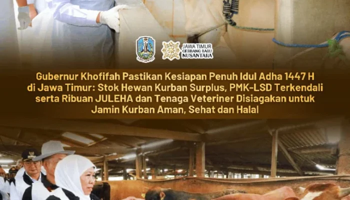 Gubernur Khofifah: Ternak Kurban Surplus dan Sehat, Siap Sambut Idul Adha 1447 H