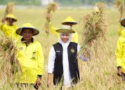 Gubernur Khofifah Tekankan Mitigasi Dini Kemarau 2026 demi Stabilitas Produksi Pangan