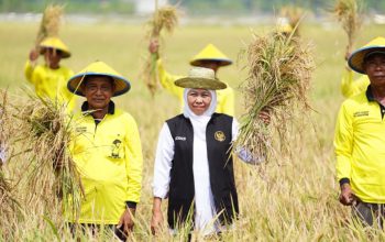 Gubernur Khofifah Tekankan Mitigasi Dini Kemarau 2026 demi Stabilitas Produksi Pangan