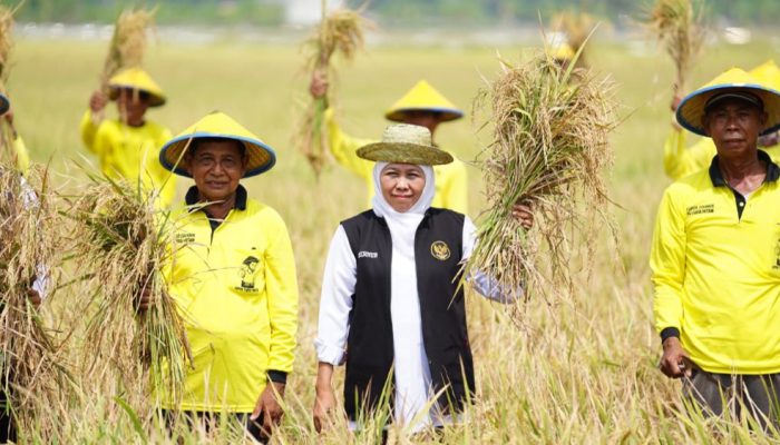 Gubernur Khofifah Tekankan Mitigasi Dini Kemarau 2026 demi Stabilitas Produksi Pangan