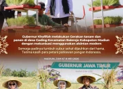 Gubernur Khofifah Ajak Petani dan Gapoktan Percepat Masa Tanam demi Surplus Beras