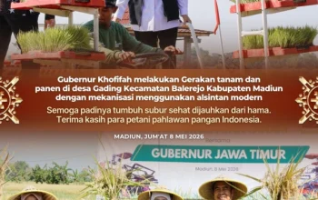 Gubernur Khofifah Ajak Petani dan Gapoktan Percepat Masa Tanam demi Surplus Beras