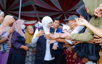 Gubernur Khofifah Tinjau Peternakan Berkah Wafa Farm, Sapi Unggulan Jadi Andalan Kurban