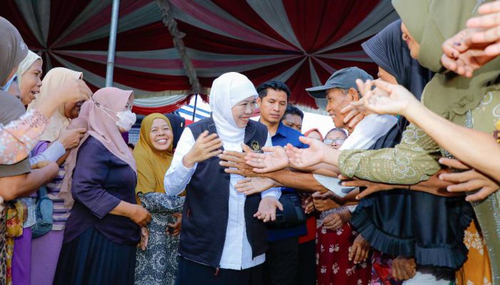 Gubernur Khofifah Tinjau Peternakan Berkah Wafa Farm, Sapi Unggulan Jadi Andalan Kurban