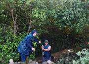 PT Terminal Petikemas Surabaya Dukung Penghijauan Pesisir dengan 3.000 Bibit Mangrove