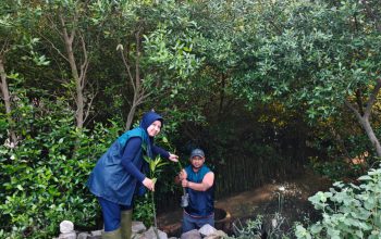 PT Terminal Petikemas Surabaya Dukung Penghijauan Pesisir dengan 3.000 Bibit Mangrove