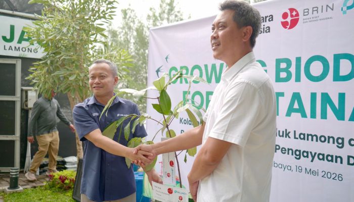 Terminal Teluk Lamong Terima Pala Jawa Langka, Perkuat Konservasi Biodiversitas Pelabuhan