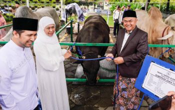 Gubernur Khofifah dan Wagub Emil Salat Idul Adha di Masjid Al Akbar, Presiden Prabowo Serahkan Sapi Kurban 1,1 Ton