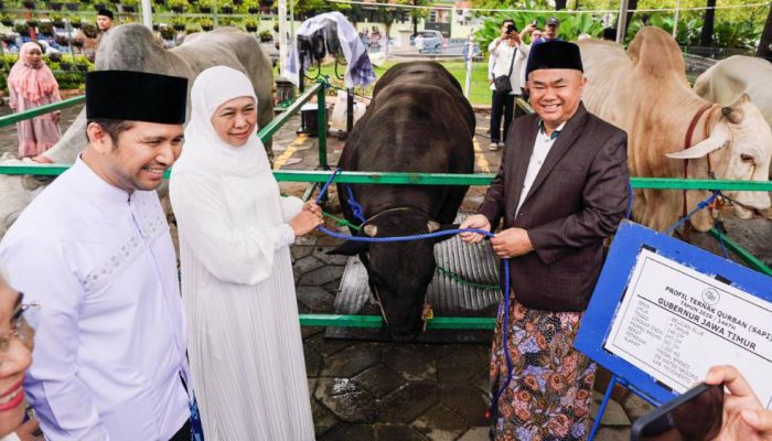 Gubernur Khofifah dan Wagub Emil Salat Idul Adha di Masjid Al Akbar, Presiden Prabowo Serahkan Sapi Kurban 1,1 Ton