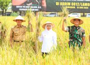 Potensi Panen Padi Jatim Naik 5,49 Persen, Gubernur Khofifah : Perkokoh Posisi Sebagai Lumbung Pangan Nasional