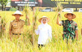 Potensi Panen Padi Jatim Naik 5,49 Persen, Gubernur Khofifah : Perkokoh Posisi Sebagai Lumbung Pangan Nasional