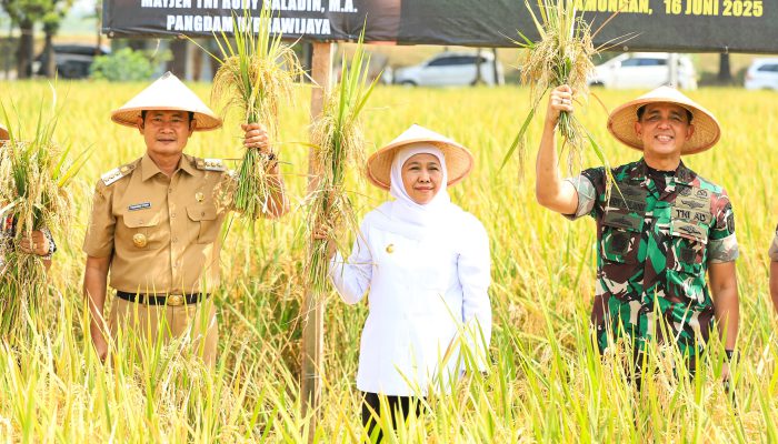 Potensi Panen Padi Jatim Naik 5,49 Persen, Gubernur Khofifah : Perkokoh Posisi Sebagai Lumbung Pangan Nasional