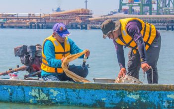 Komitmen ESG, TTL Libatkan BRIN Susun Basis Data Ilmiah Biota Laut Teluk Lamong