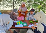 TTL Gandeng BRIN Teliti Ekosistem Pesisir, Perkuat Komitmen Terminal Ramah Lingkungan