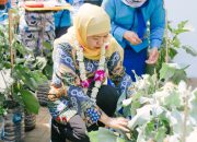 Dari Sekolah untuk Ketahanan Pangan, Gubernur Khofifah Apresiasi Kreativitas Taruna Nala Budidayakan Padi dan Sayuran