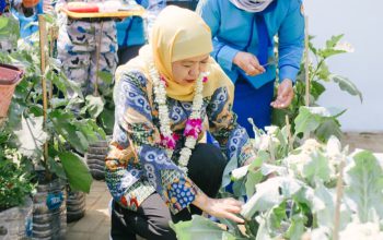 Dari Sekolah untuk Ketahanan Pangan, Gubernur Khofifah Apresiasi Kreativitas Taruna Nala Budidayakan Padi dan Sayuran