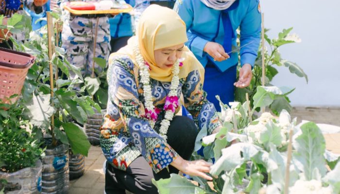 Dari Sekolah untuk Ketahanan Pangan, Gubernur Khofifah Apresiasi Kreativitas Taruna Nala Budidayakan Padi dan Sayuran