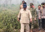 Ring of Fire Dikaitkan dengan Karhutla, Pernyataan Presiden Prabowo Picu Perdebatan